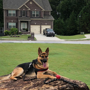 Meet your Posher, Renee